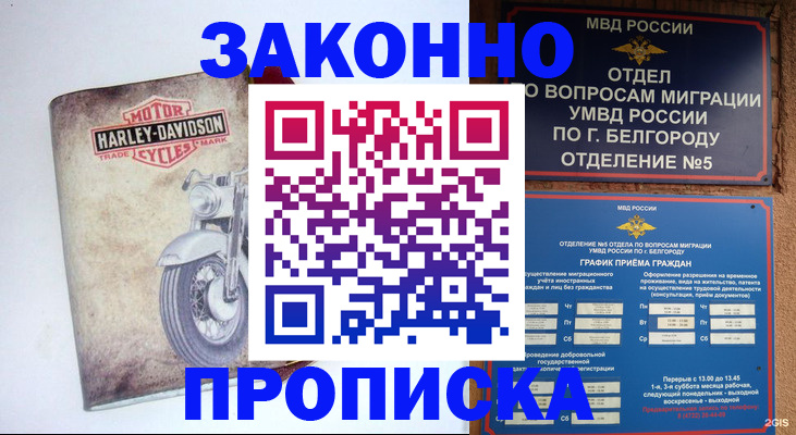 прописка для школы в Зернограде